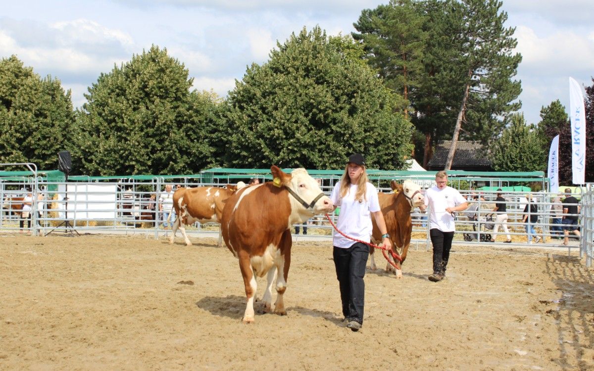 Ako bolo na Živiteľke? A čo priniesol najväčší medzinárodný agrosalón?