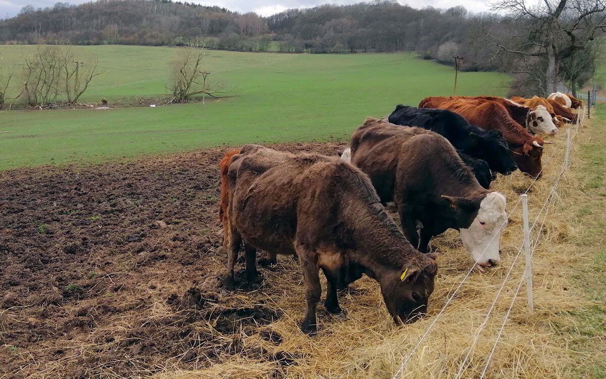 "Už žiadny elektrický plot bez diaľkového ovládania"

hovorí Pavel Pech

