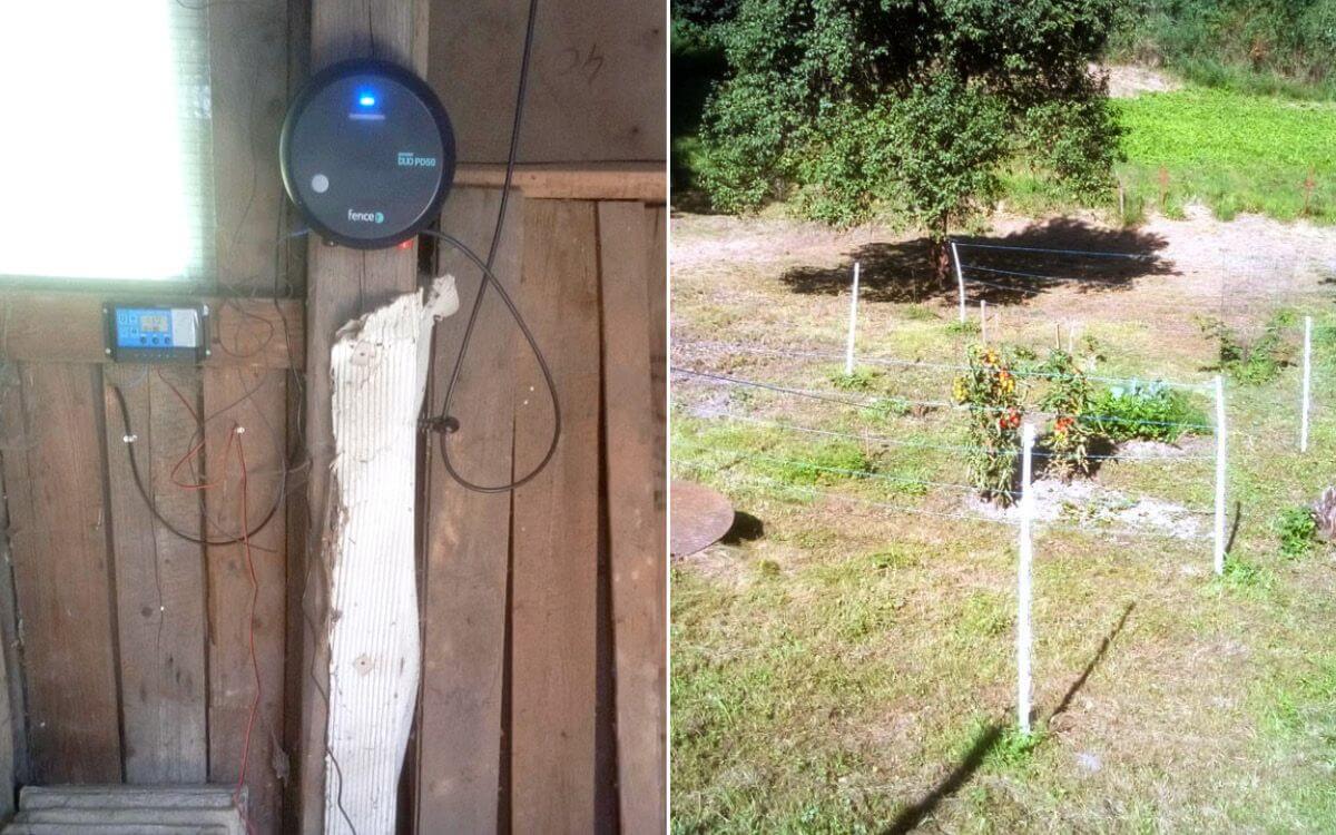 "Na ochranu našich plodín pred jeleňmi používame elektrické ohradníky"

hovorí Mirek Dokoupil