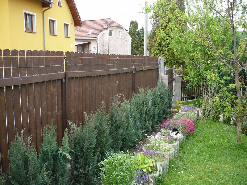 "Dlho som premýšľal, ako tento problém vyriešiť, a ak mám byť úprimný, elektrický plot ma nikdy nenapadol.  Bolo to presne to, čo som hľadal."

hovorí Zdeněk Koráb
