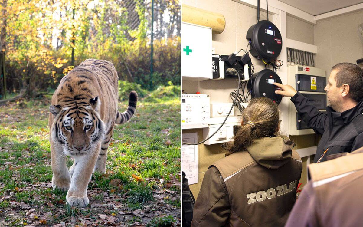 Smart Farm v ZOO Zlín I.: Inštalácia systému