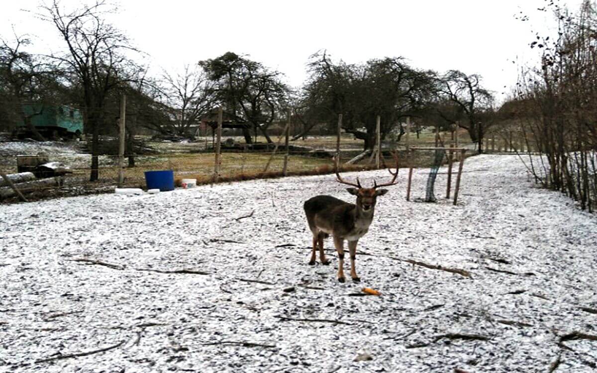 Vyriešenie úteku daniela

Pavel Leibner
