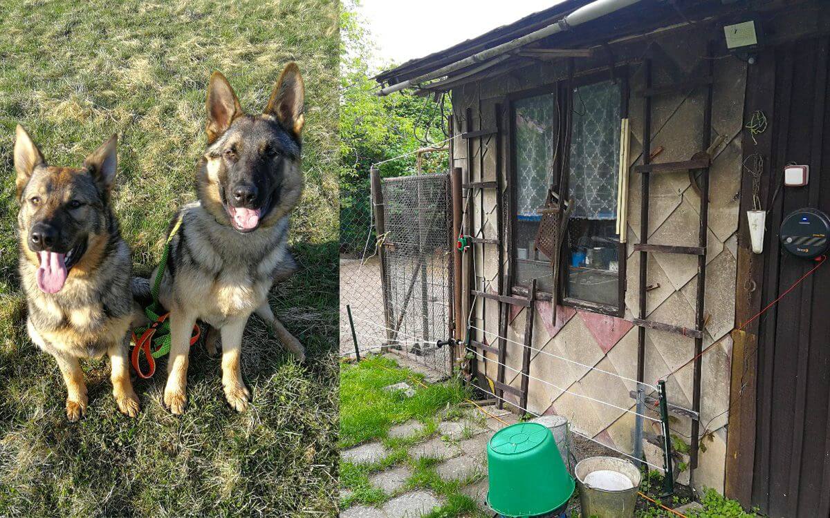 "Elektrické oplotenie je tiež skvelé na ochranu sliepok pred predátormi"

hovorí Martin Kuchař
