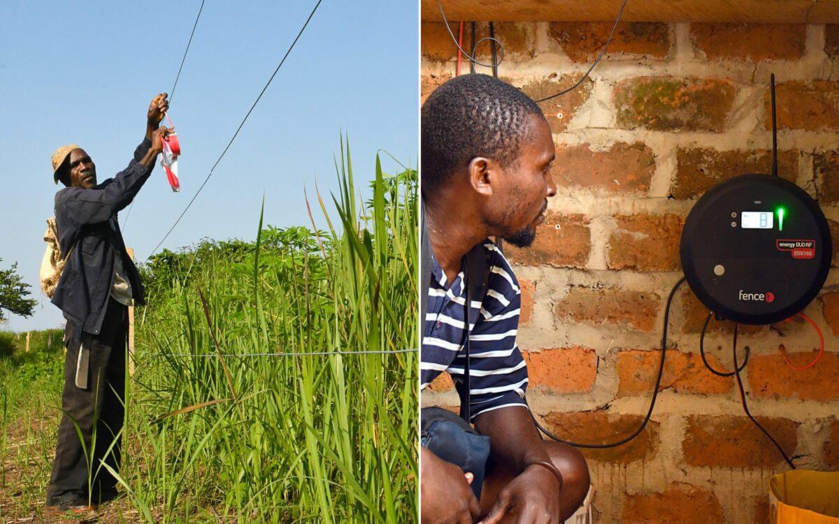 Projekt elektrickej zábrany proti slonom s plotom v Afrike