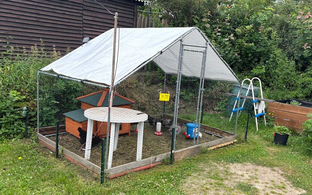 "Elektrický ohradník ako najlepšia ochrana sliepok pred škodcami"hovorí Míra