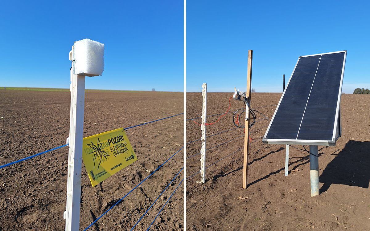 Elektrické a pachové ohradníky v akcii: Ochrana plodín na výstave Naše pole