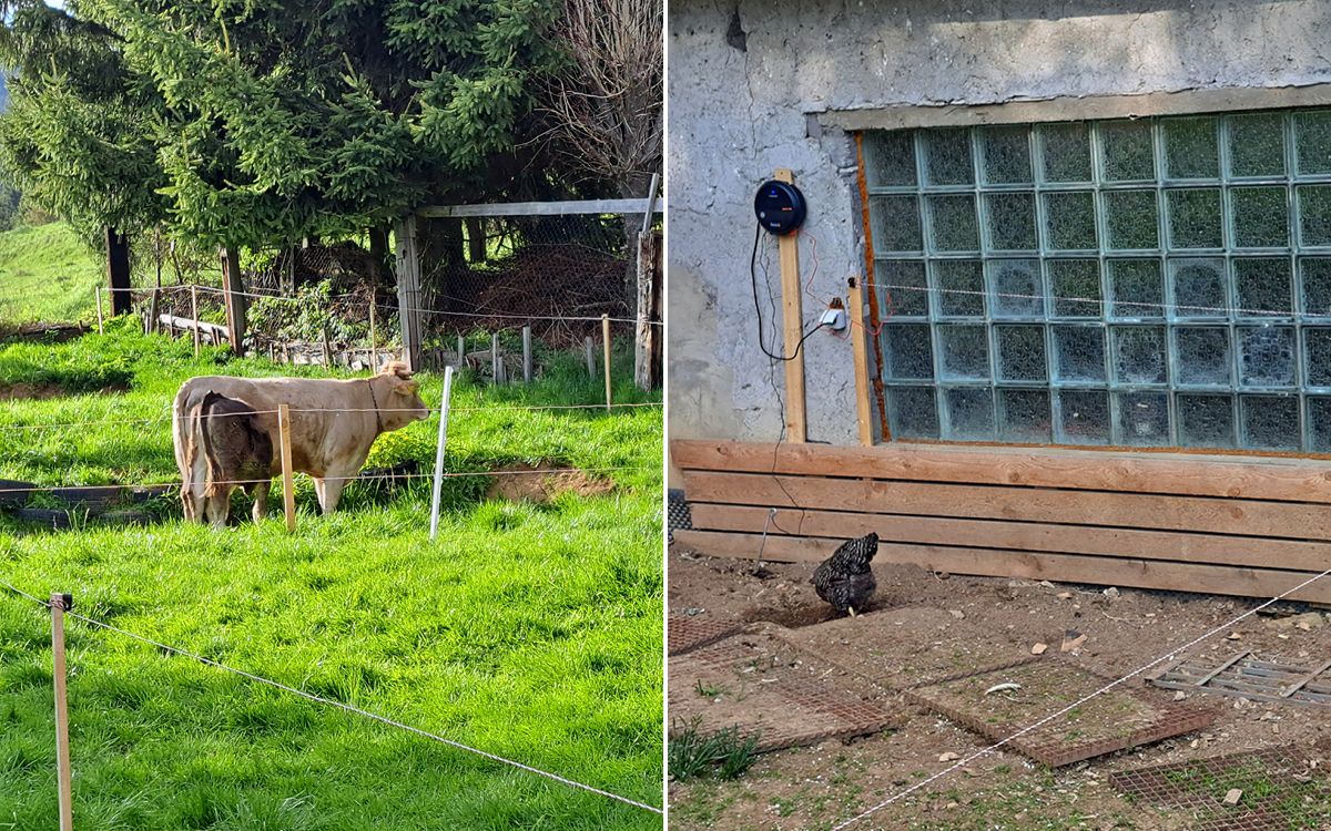 "Potreboval som chrániť pletivo pred poškriabaním dobytkom"

hovorí Branislav Škvarka 