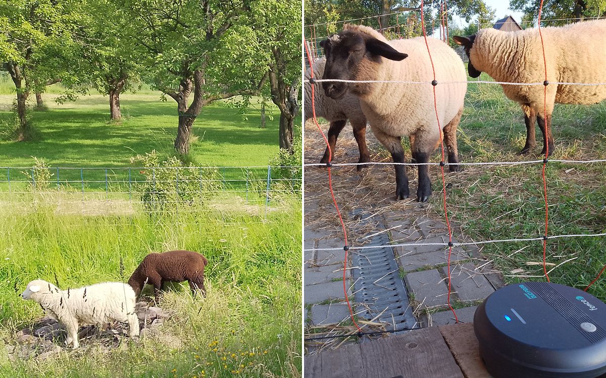 "Hľadal som mobilný generátor elektrického ohradníka pre ovce pre 6 sietí"
hovorí pán Nieslanik