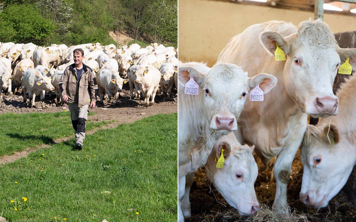 Poľnohospodárske družstvo Vlkov pod dohľadom spoločnosti Smart Farm