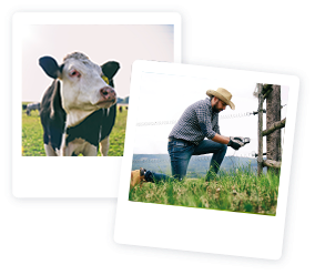 Máte náš plotový generátor? Získajte darček zadarmo.}