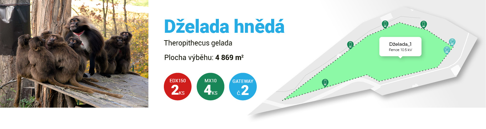 Zabezpečení výběhů v zoo Zlín pomocí systému Moderní chytré farmy fencee