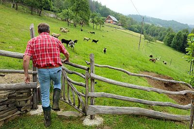 Skutočne neuveriteľný pomocník pána Cieslara - Smart Farm