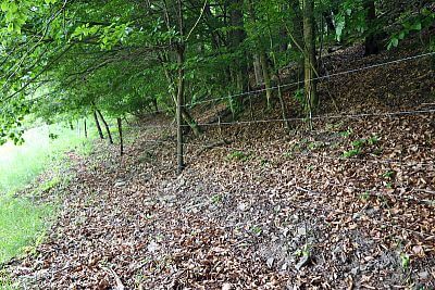 Skutočne neuveriteľný pomocník pána Cieslara - Smart Farm