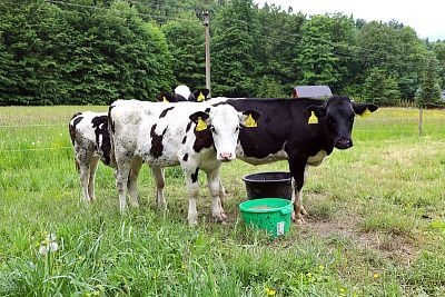 Skutočne neuveriteľný pomocník pána Cieslara - Smart Farm
