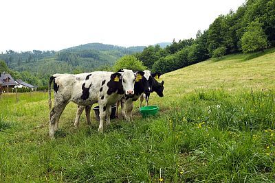 Skutočne neuveriteľný pomocník pána Cieslara - Smart Farm