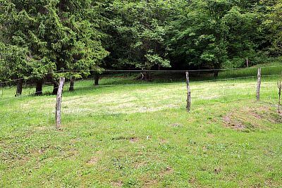 Skutočne neuveriteľný pomocník pána Cieslara - Smart Farm