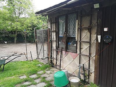 "Elektrické oplotenie je tiež skvelé na ochranu sliepok pred predátormi"

hovorí Martin Kuchař
