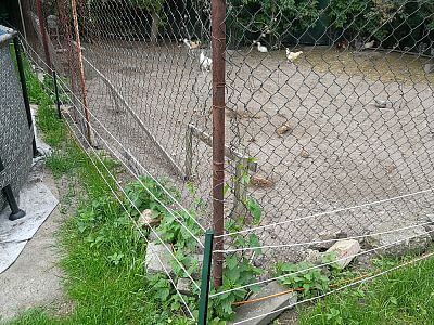 "Elektrické oplotenie je tiež skvelé na ochranu sliepok pred predátormi"

hovorí Martin Kuchař
