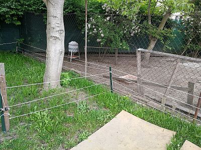 "Elektrické oplotenie je tiež skvelé na ochranu sliepok pred predátormi"

hovorí Martin Kuchař
