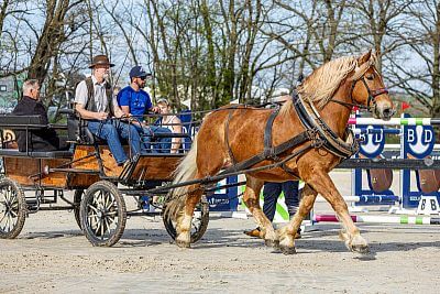 fencee je zlatým partnerom Českého skokového pohára 2025