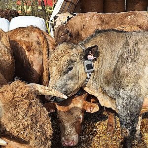 Funkcie a vlastnosti virtuálneho plotu s multifunkčným obojkom GPS F10