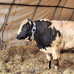 Funkcie a vlastnosti virtuálneho plotu s multifunkčným obojkom GPS F10