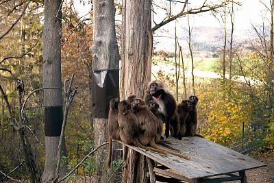 Smart Farm v ZOO Zlín I.: Inštalácia systému