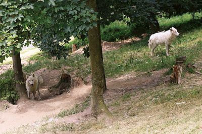 Inštalácia Smart Farm fencee Cloud v ZOO Olomouc