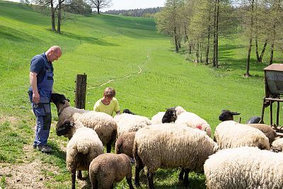 Smart Farm s aplikáciou fencee Cloud na ovčej farme Petrlák