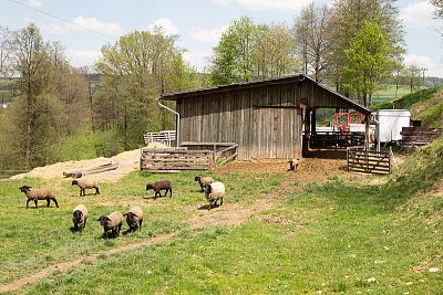 Smart Farm s aplikáciou fencee Cloud na ovčej farme Petrlák