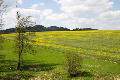 Smart Farm s aplikáciou fencee Cloud na ovčej farme Petrlák