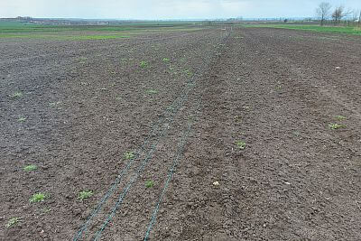 Stavba elektrického ohradníka pre výstavu Naše pole