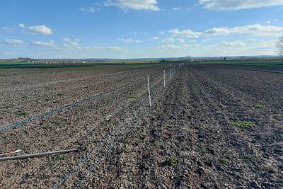 Stavba elektrického ohradníka pre výstavu Naše pole