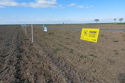 Stavba elektrického ohradníka pre výstavu Naše pole