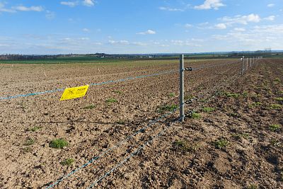 Stavba elektrického ohradníka pre výstavu Naše pole