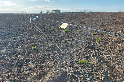 Stavba elektrického ohradníka pre výstavu Naše pole