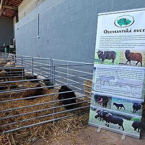 Ohradníky fencee na Ostrava Wool Fest 2026