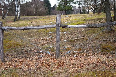 Používanie chytrých elektrických ohradníkov v Združení chovateľov oviec a kôz - Smart Farm