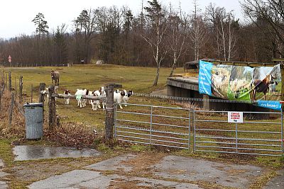 Používanie chytrých elektrických ohradníkov v Združení chovateľov oviec a kôz - Smart Farm