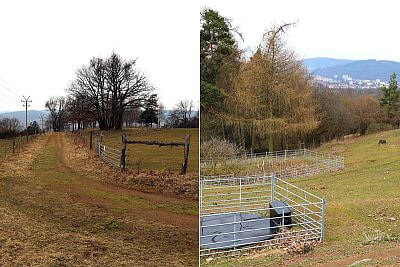 Používanie chytrých elektrických ohradníkov v Združení chovateľov oviec a kôz - Smart Farm