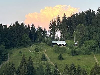 "Prehľad o všetkých pastvinách z pohodlia domova"

hovorí Tomáš Kij
