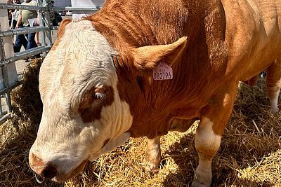 Prestížne ocenenie GRAND PRIX na veľtrhu TECHAGRO