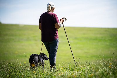 Preteky oviec s pomocou ovčiarskeho psa na farme JJPav