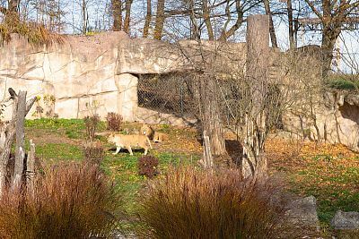 Chytrá Farma v Zoo Zlín II: Systém v prevádzke