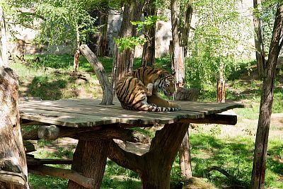 Chytrá Farma v Zoo Zlín II: Systém v prevádzke