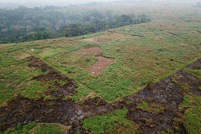 Projekt elektrickej zábrany proti slonom s plotom v Afrike