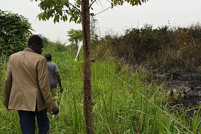 Projekt elektrickej zábrany proti slonom s plotom v Afrike