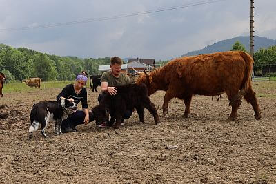 Chytrá Farma v podhorí Beskýd na Farme u Velšů
