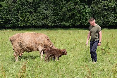 Chytrá Farma v podhorí Beskýd na Farme u Velšů