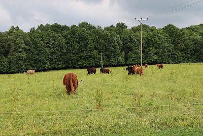 Chytrá Farma v podhorí Beskýd na Farme u Velšů